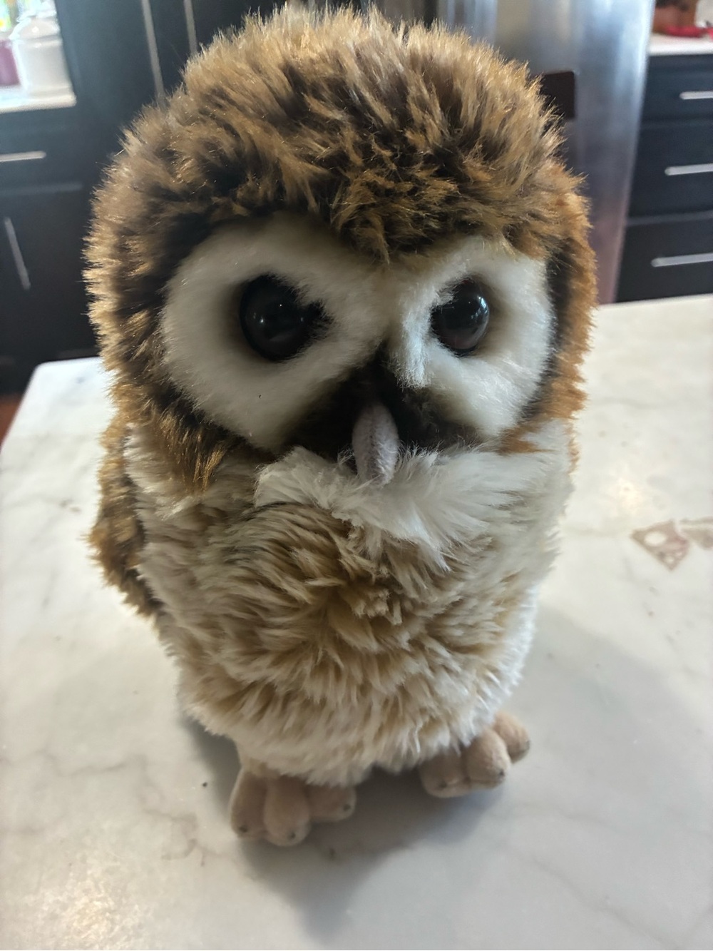 9" Plush Stuffed Owl From The Wizarding World of Harry Potter Universal Studios